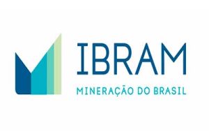 Veto à não incidência do imposto seletivo na exportação