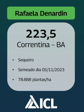  Produtora de Correntina (BA) alcança 223,5 sacas por hectare e é destaque no concurso GETAP Verão 2024