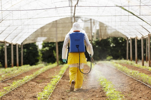 Hortitec 2024: Jacto apresenta novos equipamentos portáteis de alta performance operacional e destaca iniciativas com foco em sustentabilidade