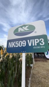 Híbridos de milho das marcas NK e Nidera são Top 10 em ranking de produtividade