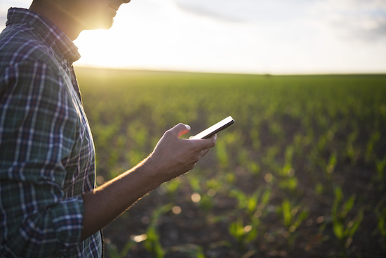 Produtores rurais brasileiros migram para compras online na hora de adquirir insumos agrícolas