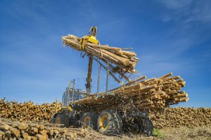 PONSSE Mammoth conquista espaço nas operações brasileiras de baldeio