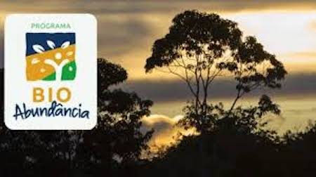 Grupo Sabará investe na relação entre água, clima e biodiversidade para se destacar no combate às alterações climáticas 