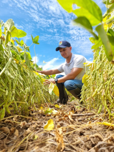 Escolha da cultivar certa e qualidade de sementes: chaves para o sucesso da lavoura de soja