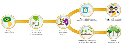 Sindiveg apoia fórum sobre adoção e regulamentação de bioinsumos
