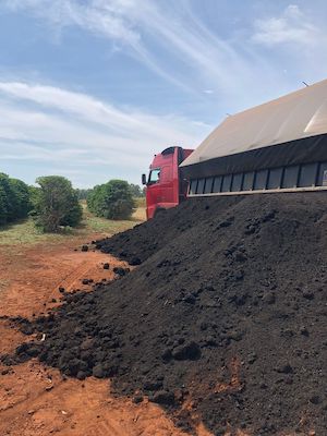 Fertilizantes orgânicos podem contribuir para o aumento da segurança alimentar