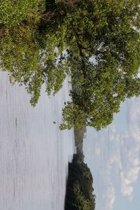 Tereos se torna primeiro produtor mundial de açúcar e amido a receber validação do SBTi para metas de descarbonização