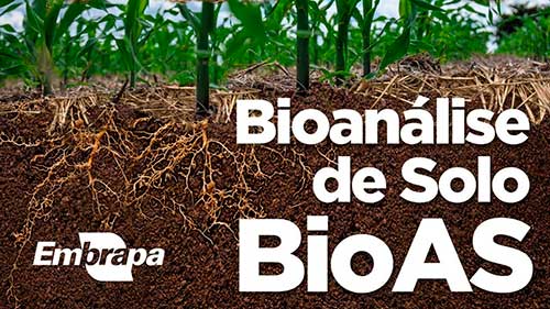 Embrapa celebra quatro anos da tecnologia BioAS com lançamento de versões em inglês e espanhol de curso on-line em congresso internacional