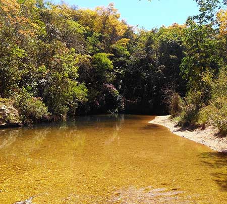Cafeicultura: Projeto de agricultura inteligente aponta economia de 30% de água nas lavouras