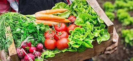 Alegações de atributos de alimentos orgânicos