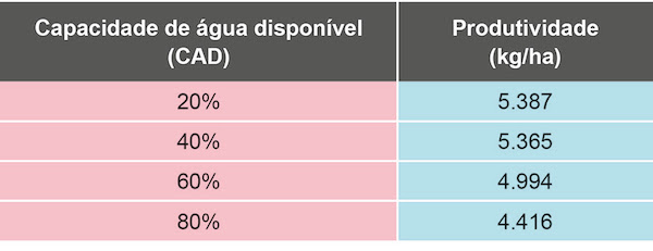 Pesquisa indica momento e quantidade de água ideais para irrigação do trigo no Cerrado