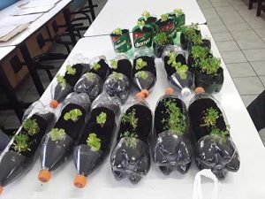 Comitê institucional discute a sustentabilidade no agro