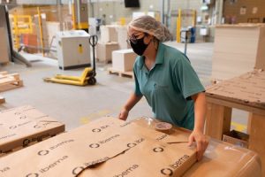 Ibema investe R$ 150 milhões em florestas próprias para produção de papelcartão