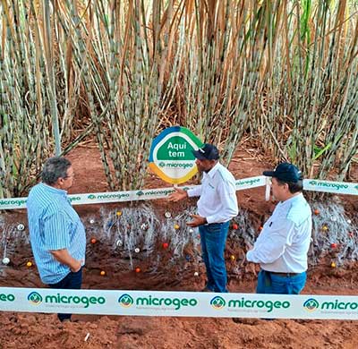 Produtor de Lençóis Paulista (SP) usa Microgeo em 100% da área como estratégia para mitigar adversidades climáticas e garantir produtividade
