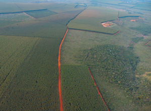 Sugestão de matéria Empresa Reflorestar investe em eficiência energética e sustentabilidade Empresa Reflorestar investe em eficiência energética e sustentabilidade