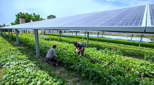 ABSOLAR reúne autoridades públicas e empresários do agronegócio e energia solar do Centro-Oeste para debater transição energética