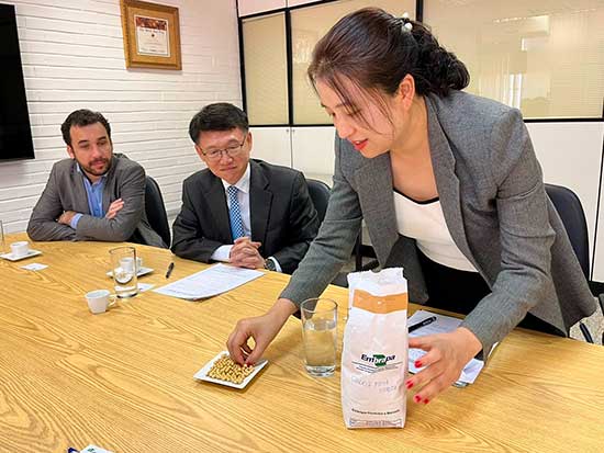 Soja brasileira será testada na Coreia do Sul para fabricação de produtos alimentícios