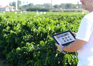Sistema de monitoramento agrometeorológico da Embrapa chega aos 20 anos investindo em melhorias