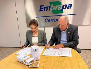 Soja brasileira será testada na Coreia do Sul para fabricação de produtos alimentícios