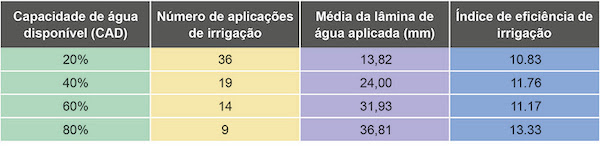 Pesquisa indica momento e quantidade de água ideais para irrigação do trigo no Cerrado