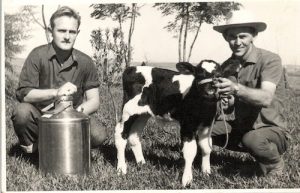 50ª Expoleite homenageia pioneiros e resgata trajetória da pecuária leiteira na região com exposição de museu