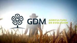 Agricultores que utilizaram cultivares com genética GDM vencem em diversas categorias do 16º Desafio Nacional de Máxima Produtividade da Soja