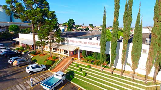 6º Fórum Café e Clima da Cooxupé apresenta perspectivas para safra cafeeira de 2025