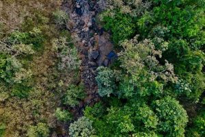 Dia da Sobrecarga da Terra em 1º de agosto é um alerta para mudarmos nossos modos de produção e hábitos de consumo