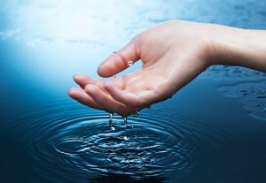 Biólogo defende o monitoramento em tempo real para deter avanço da poluição das águas interiores no Brasil