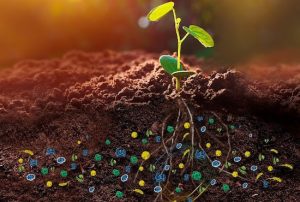 Microgeo e manejo biológico do solo ganham destaque em revista internacional