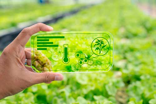 Tecnologias 6.0 para o Agro: A Revolução Digital no Campo