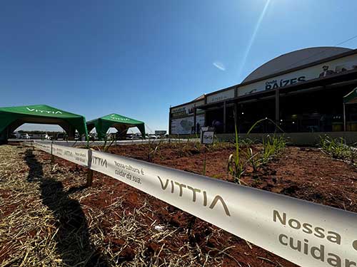 Vittia leva tecnologia biológica para a cultura da cana na Coopercitrus Expo 2024