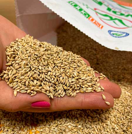 Produtores de grãos demandam mudanças no mercado de forrageiras