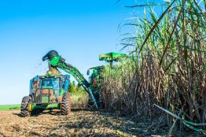 Zilor alcança marco histórico de moagem com 11,4 milhões de toneladas de cana na Safra 23/24, 39 recordes de eficiência e produtividade e receita líquida recorde de R$ 3,487 bilhões