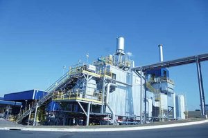 Agropalma lança novo relatório de sustentabilidade e celebra redução de 24% nas emissões