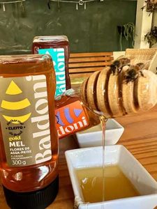 Baldoni traz exposição de abelhas nativas para Expoflora, em Holambra