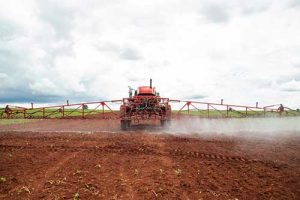 Especialistas dão dicas de manejo correto na aplicação do dicamba