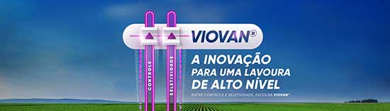 Produtores brasileiros de milho têm nova ferramenta para o controle de doenças fúngicas