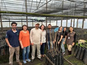 Divinut apresenta projeto de inoculação de mudas de noz-pecã com trufas comestíveis na Expointer 2024