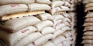 A Importância da Armazenagem para os Cafés Especiais