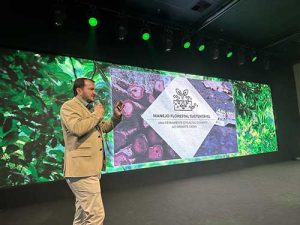 FNBF impulsiona crescimento da madeira sustentável em 2024