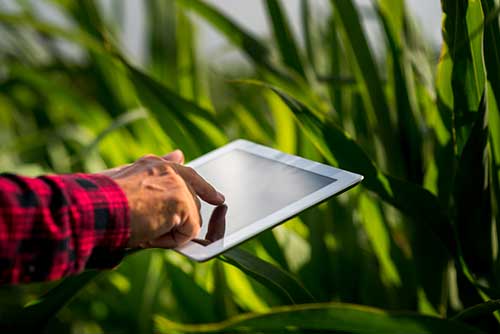 Tecnologia impulsiona a agricultura e reforça o papel do agricultor frente aos desafios climáticos e ao crescimento populacional