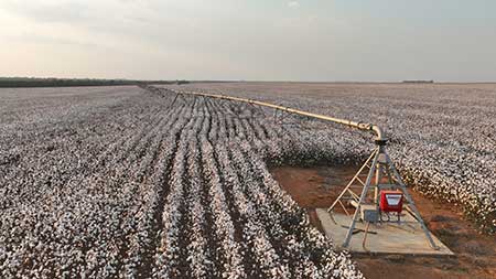 Congresso Brasileiro do Algodão destaca os benefícios das tecnologias de irrigação