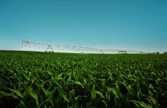 Tecnologia será fundamental para acelerar a retomada no Rio Grande do Sul