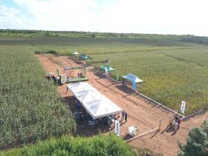 Pequeno produtor do Nordeste mecaniza plantio por meio do programa Prospera