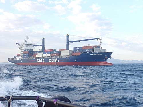 Com escala spot, CMA CGM atua em retomada do porto de Itajaí