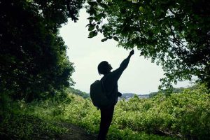 Schneider Electric avança nas metas de sustentabilidade globais e divulga desempenho do segundo trimestre de 2024