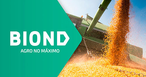 Brasil pode perder o ranking de maior exportador de milho em 2024, diz Biond Agro