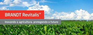 RANDT e MyCarbon lançam programa Revitalis™ para impulsionar a agricultura regenerativa e sustentável no Brasil