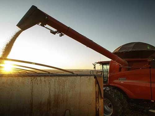 Case IH leva lançamentos para a Expointer 2024 voltados para as necessidades do produtor gaúcho